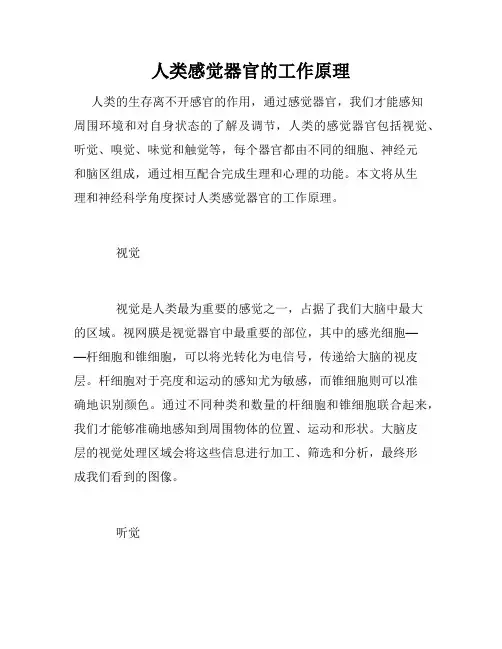 人类感觉器官的工作原理