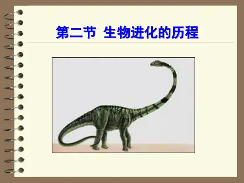 初中生物八年级下册《3.2第二节 生物进化的历程》课件(两套)