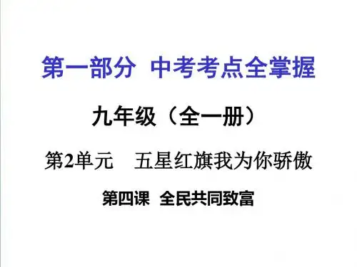 2019年中考政治九年级考点全掌握：第4课《全民共同致富》ppt课件