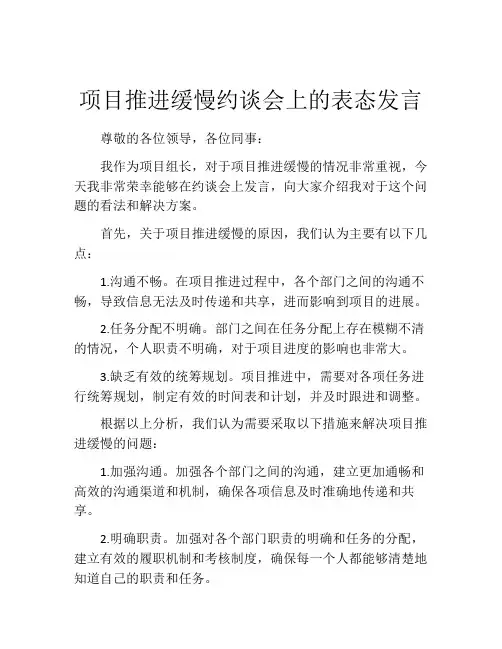 项目推进缓慢约谈会上的表态发言