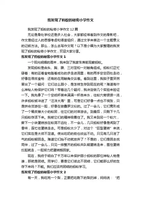 我发现了蚂蚁的秘密小学作文12篇