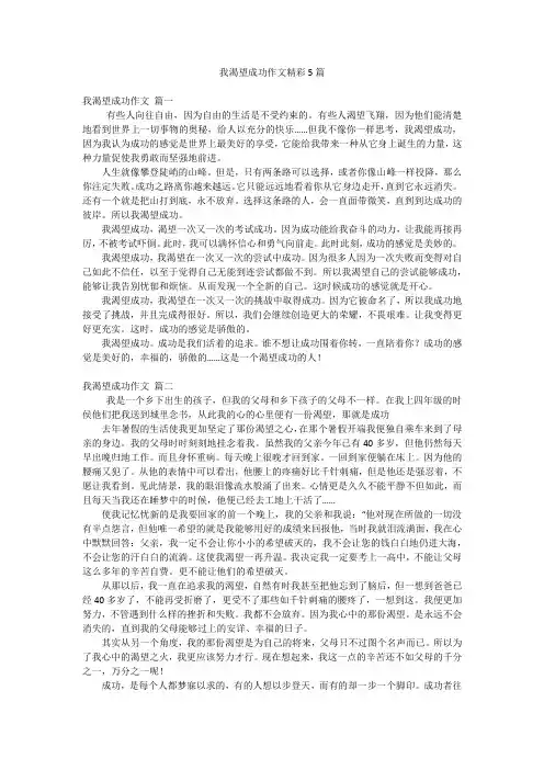我渴望成功作文精彩5篇