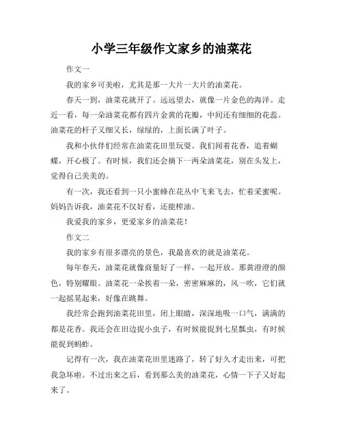 小学三年级作文家乡的油菜花