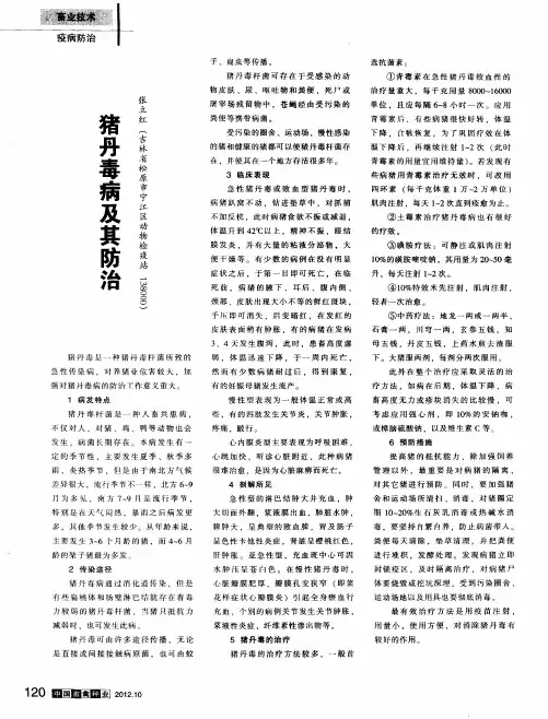 猪丹毒病及其防治-论文