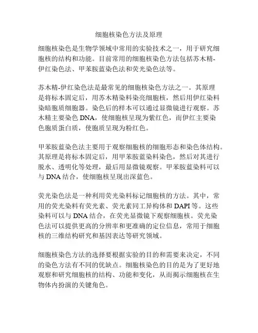 细胞核染色方法及原理