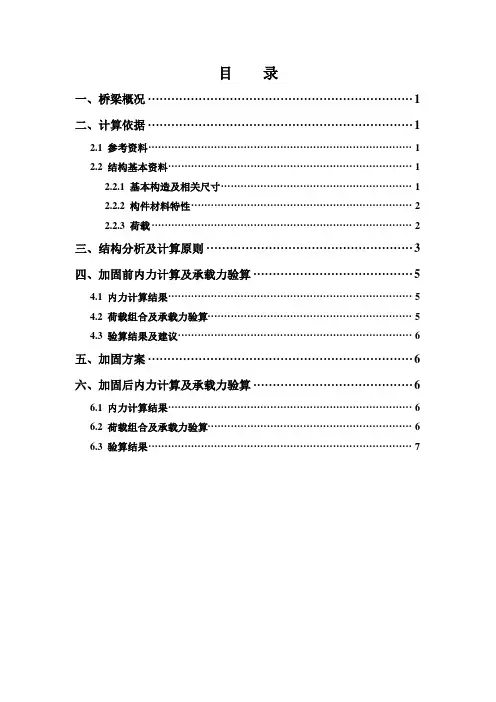 某某拱桥加固设计计算书全解