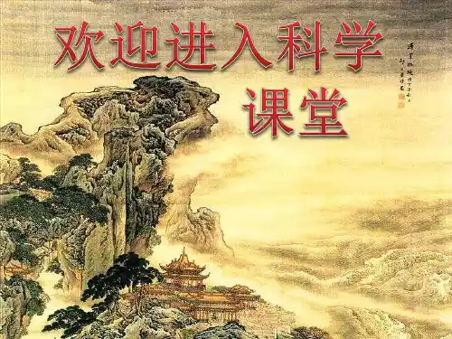 2020年二年级下册科学课件《1.观察我们的身体》教科版(11张)ppt课件