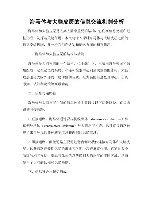 海马体与大脑皮层的信息交流机制分析
