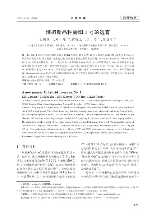 辣椒新品种骄阳1_号的选育
