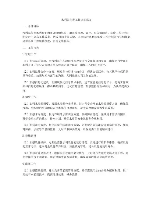 水利站年度工作计划范文