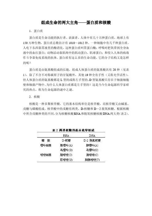 人教课标实验版-有机化学基础-生命中的基础有机化学物质-第三节蛋白质和核酸【市一等奖】