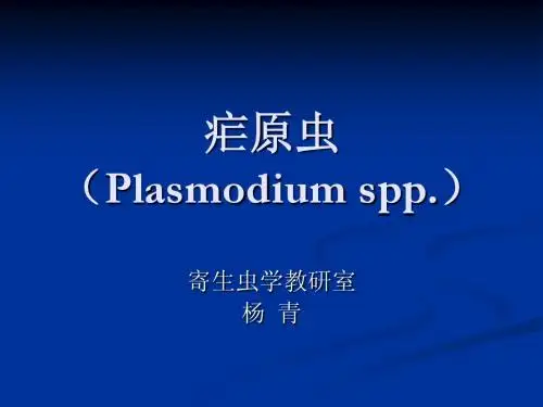 疟原虫