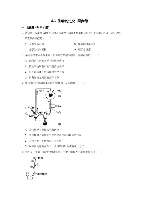 鲁科五四制版生物八年级下册生物的进化