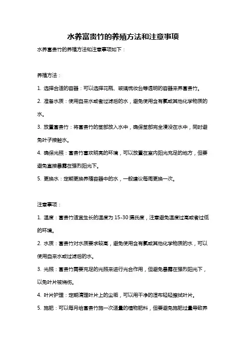 水养富贵竹的养殖方法和注意事项