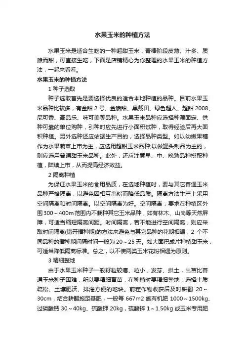 水果玉米的种植方法