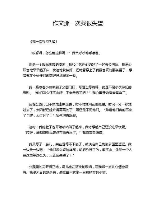 作文那一次我很失望