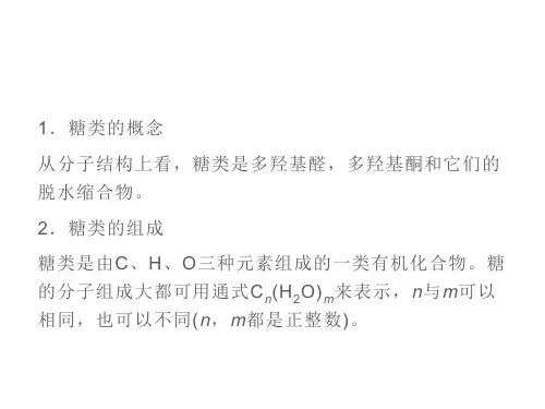 糖类 课件
