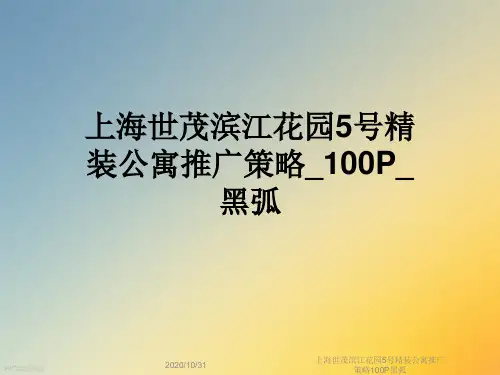 上海世茂滨江花园5号精装公寓推广策略100P黑弧
