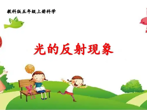 《光的反射现象》教学课件
