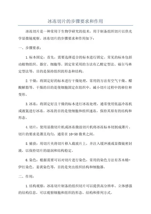 冰冻切片的步骤要求和作用