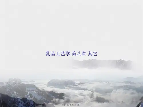 乳品工艺学 第八章 其它讲课文档