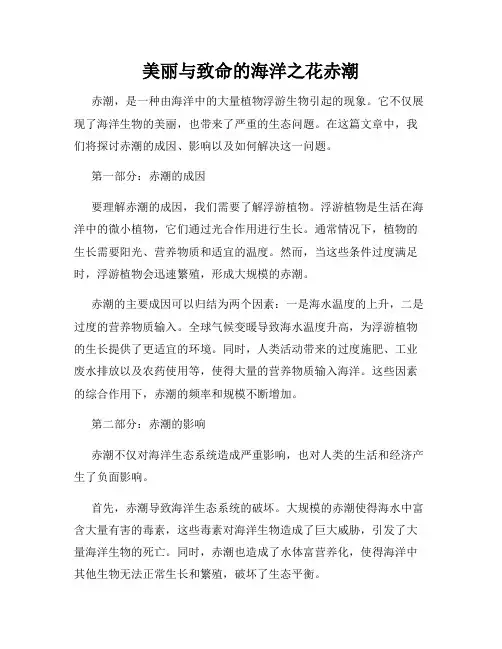 美丽与致命的海洋之花赤潮