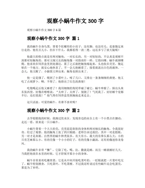 观察小蜗牛作文300字