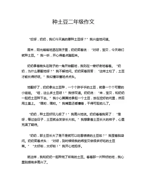 种土豆二年级作文