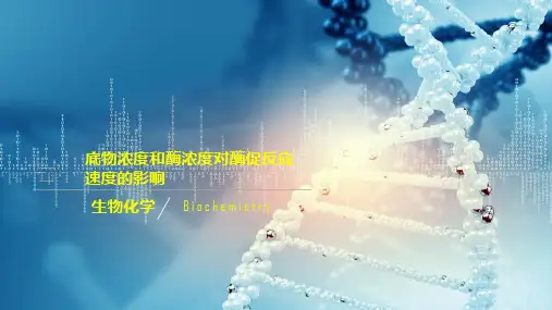 酶—影响酶促反应速度的因素(生物化学课件)
