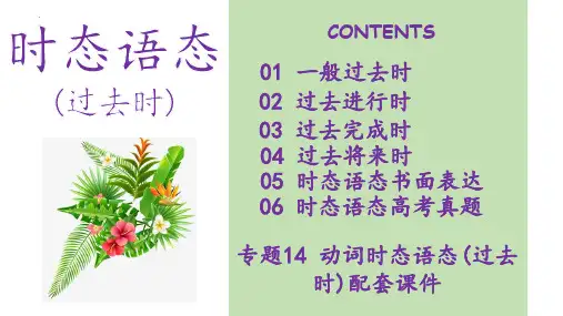 专题14 动词时态语态(过去时)(课件)2024年高考英语一轮复习(全国通用)