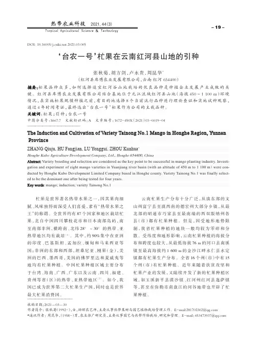 ‘台农一号’杧果在云南红河县山地的引种
