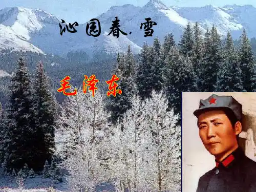 九年级语文1.《沁园春雪》课件