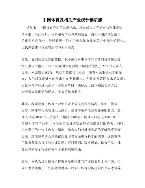 中国体育及相关产业统计读后感
