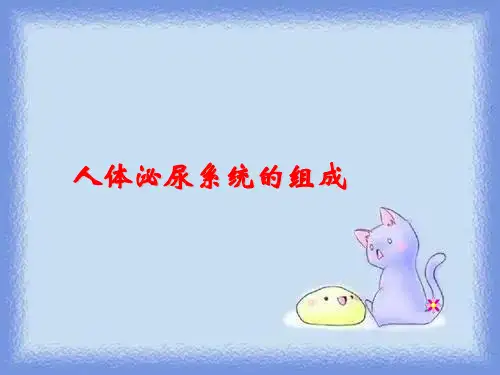 生物七下《人体泌尿系统的组成》ppt