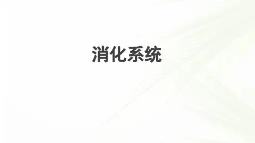 系统解剖学之消化系统