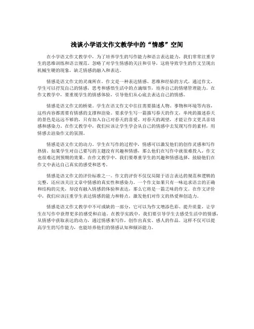 浅谈小学语文作文教学中的“情感”空间