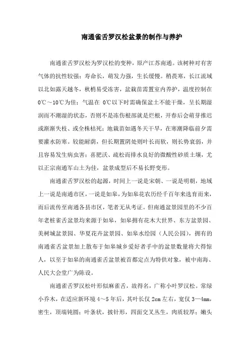 南通雀舌罗汉松盆景的制作与养护