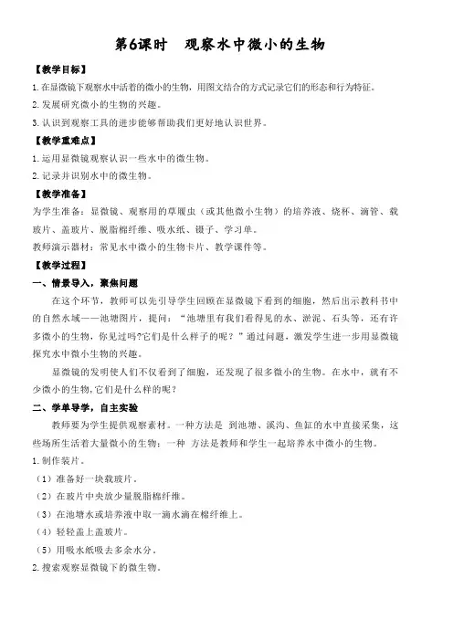 新版教科版六年级科学上册1.6 观察水中微小的生物(教案)
