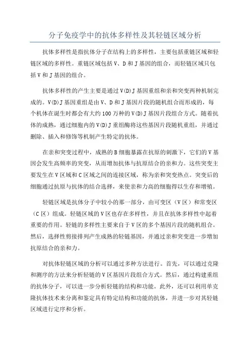分子免疫学中的抗体多样性及其轻链区域分析