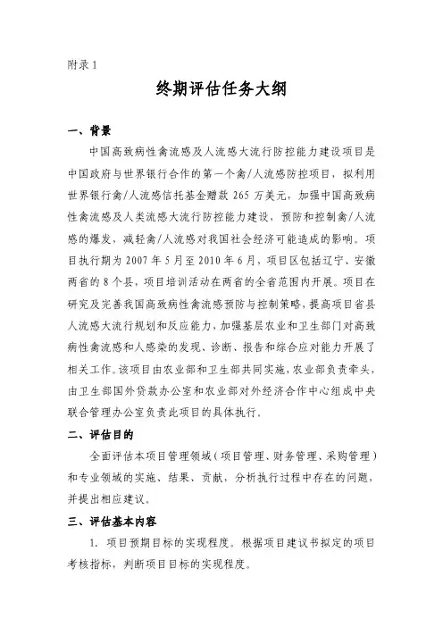 终期评估任务大纲