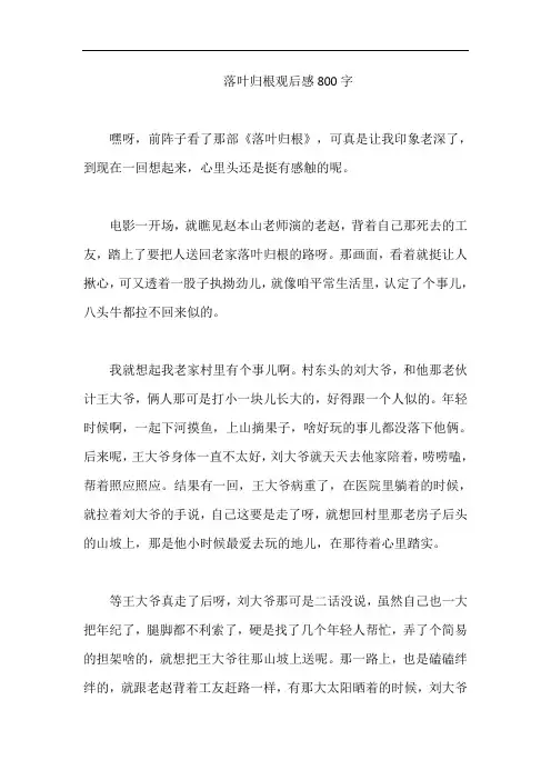落叶归根观后感800字
