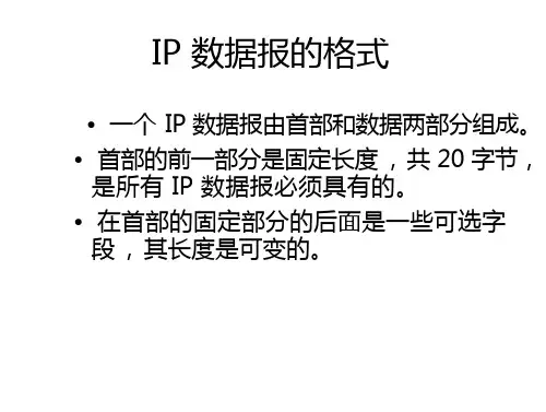 IP 数据报格式详解