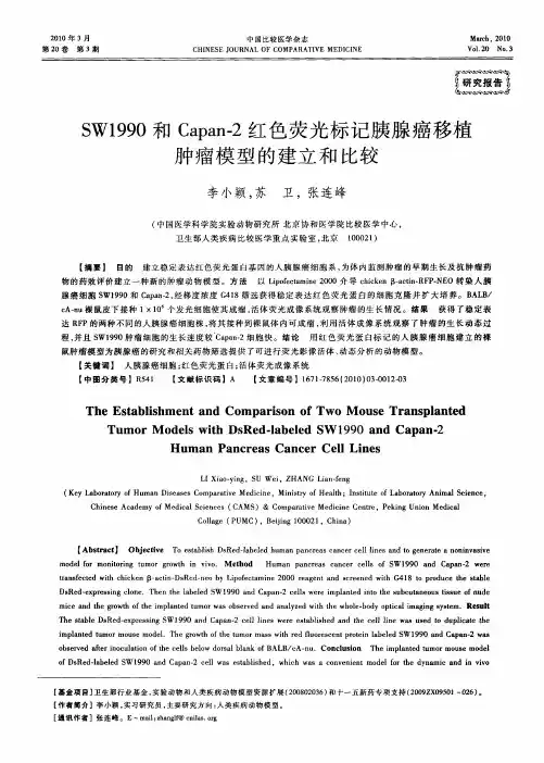 SW1990和Capan-2红色荧光标记胰腺癌移植肿瘤模型的建立和比较