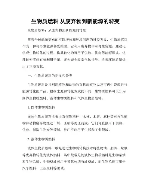 生物质燃料 从废弃物到新能源的转变