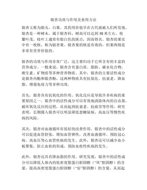 银杏功效与作用及食用方法