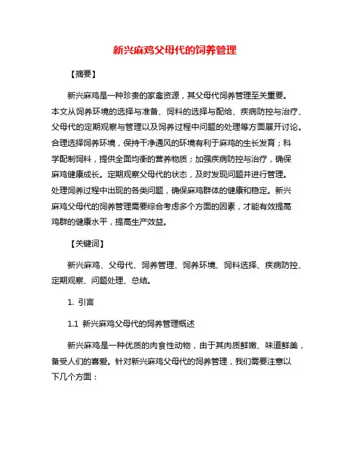 新兴麻鸡父母代的饲养管理