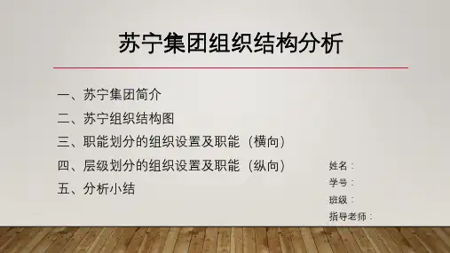 苏宁集团组织结构分析