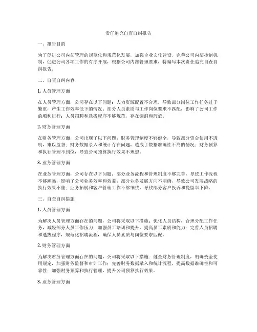 责任追究自查自纠报告
