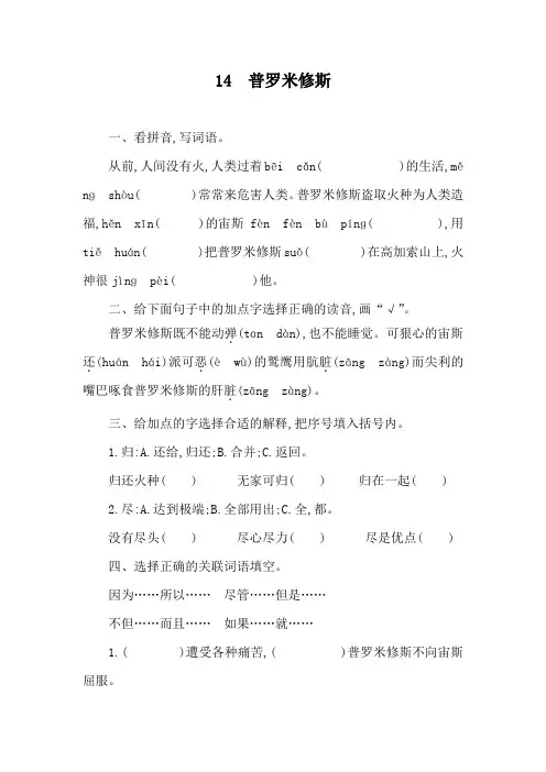 14 普罗米修斯  同步练习(含答案)