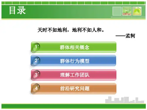组织行为学群体篇课件